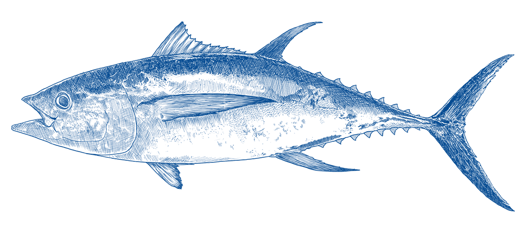 illustration image